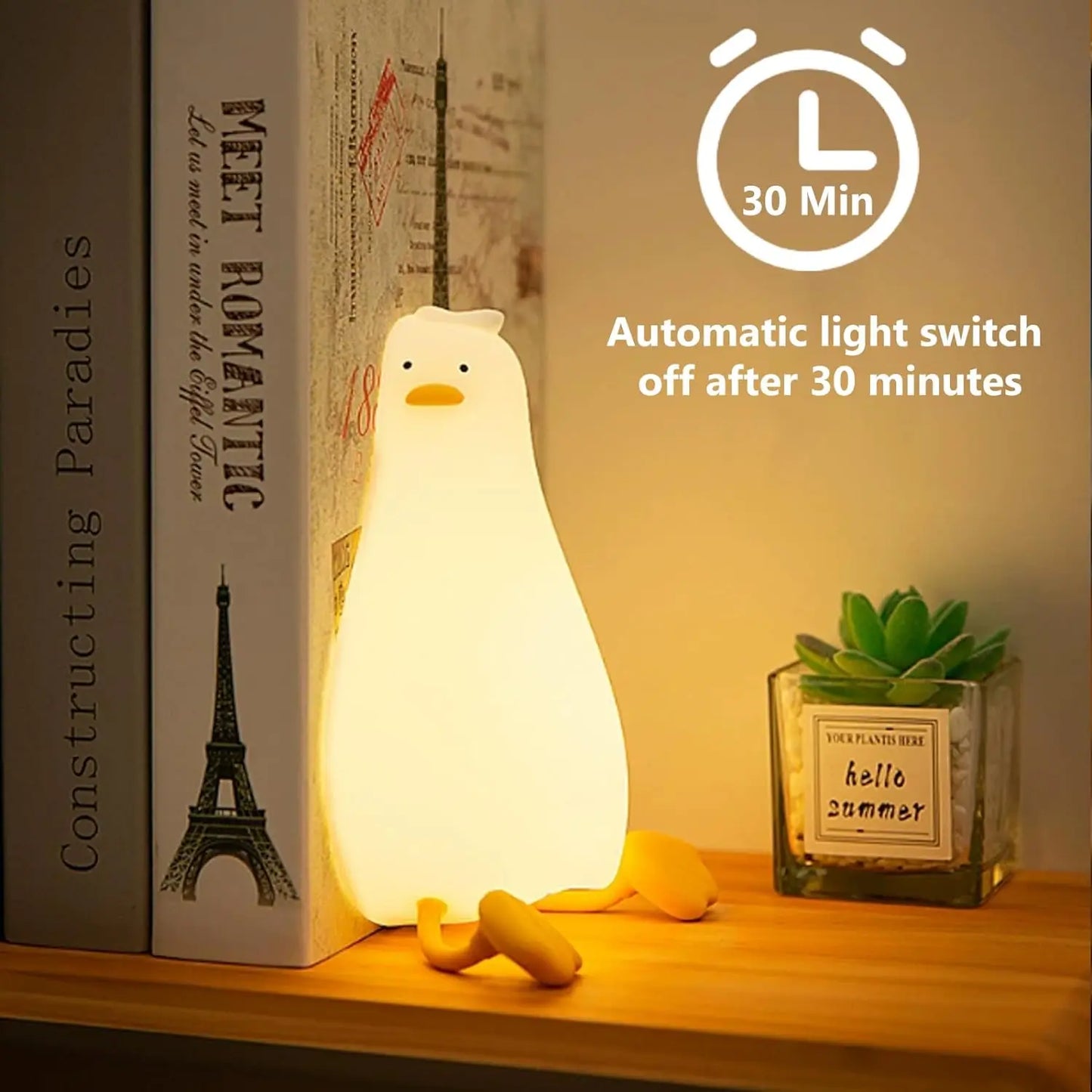 Sleeping Duck Night Light